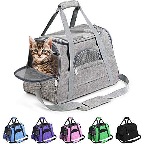 Bengal Approved Pet Carrier for Travel