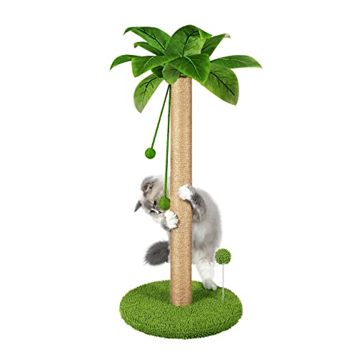Dohump Cat Scratching Post, 31" Tall Scratch Tree with Premium Sisal Rope, Two Interactive Dangling Balls and Spring Ball Toys for Indoor Kittens and Cats