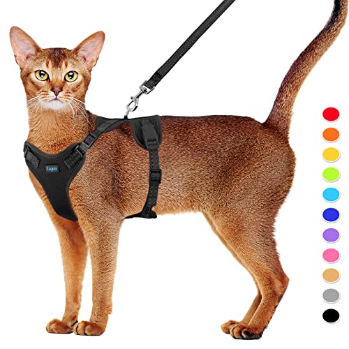 Adjustable Bengal Cat Vest and Leash Set