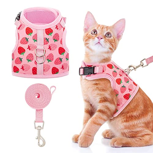 BINGPET Mesh Cat Harness with Leash - Adjustable