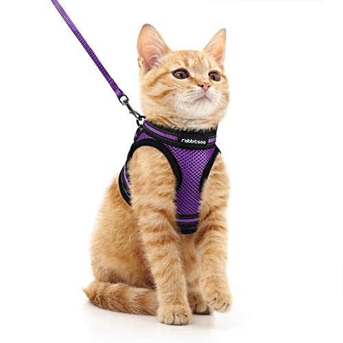 Purple Bengal Cat Harness and Leash - Comfortable Outdoor