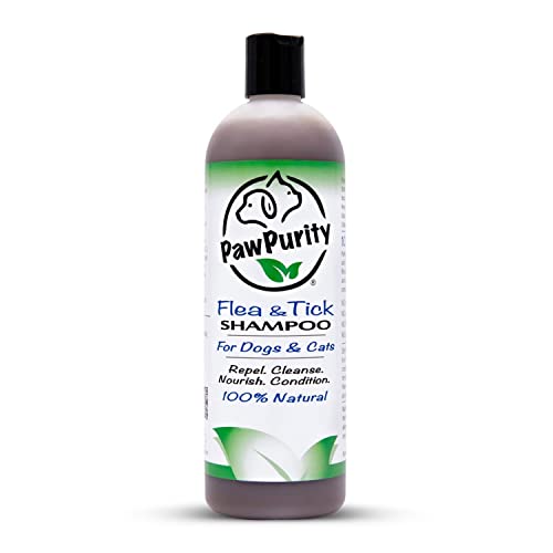PawPurity Flea/Tick Shampoo, Natural Plant & Mineral-Based Ingredients Only, Improves Dog & Cat Skin & Coat Health, Honeysuckle-Citrus Scent, Eco Friendly Product & Packaging Made in USA (8OZ)