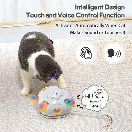 Interactive Rechargeable Bengal Cat Toy, Motion Cat Wand