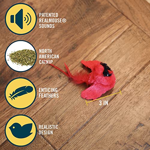 OurPets Play-N-Squeak Real Birds Interactive Cat Toys with Catnip (Cat Toys for Indoor Cats, Catnip Toys, Catnip Toys for Cats with Bird Chirping Electronic Sound and Feather)