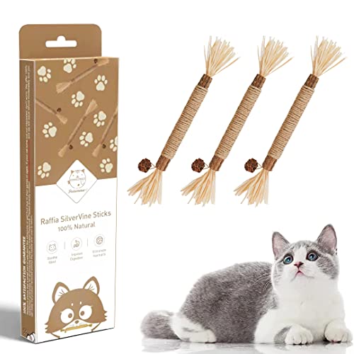 Bengal Cat Silvervine: Natural Chew Toys for Dental Care