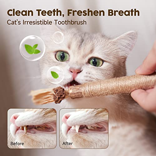 Bengal Cat Silvervine: Natural Chew Toys for Dental Care
