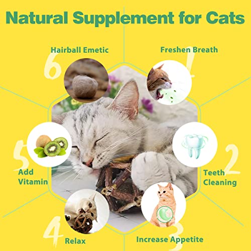 Bengal Cat Catnip Toys: Chew, Relax, Improve Digestion