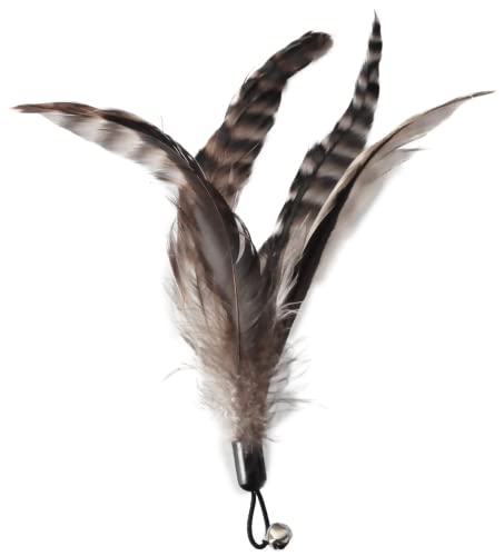 EcoCity Cat Toys 2023: Chemical-Free Feather Fun
