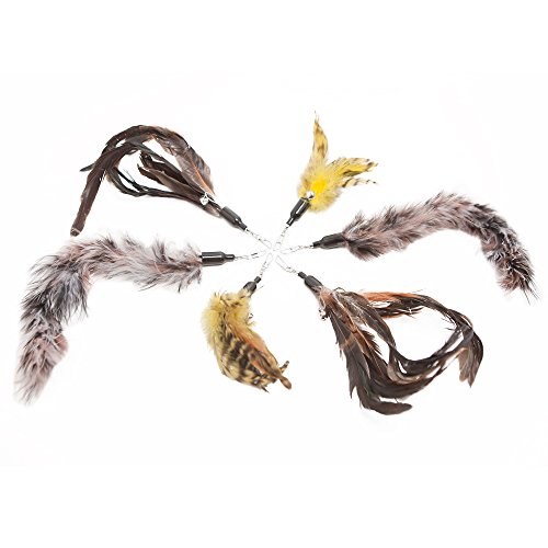 Bengal Cat Toy Feather Refill 6 Pack - Interchangeable & Natural