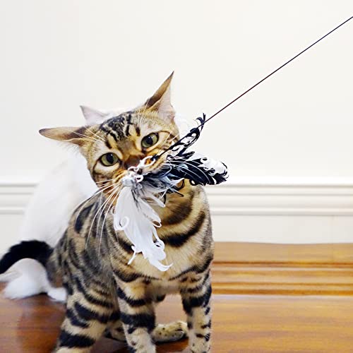 TTcat Cat Wand Toys, 35'' Flexible Steel Wire and 4PCS Cat Feather Toys Cat Teaser Toy Refills, Interactive Cat Toy Wand Kitten Toys for Indoor Cats to Play Chase Exercise…