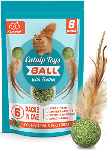 Organic Catnip Feather Ball - 6 Pack