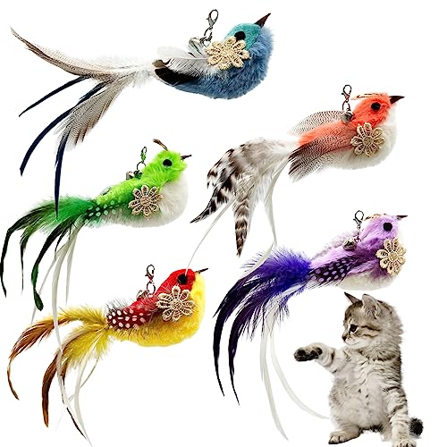 CATENEED Cat Feather Toys Replacement Cat Toy Wand Refills, 5 PCS Natural Feathers Bird Cat Toy Refills, Cat Wand Replacement Bird Feathers for Cat Toys