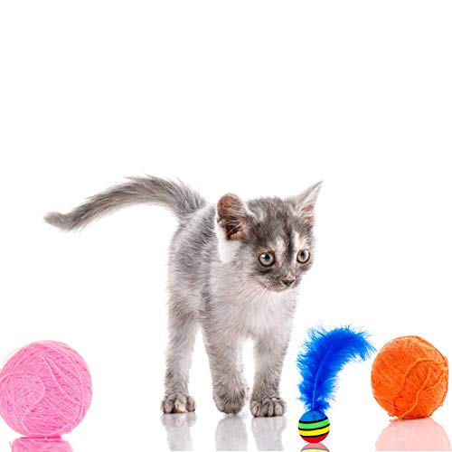 Pack of 5 Rainbow Bengal Cat Toy Balls