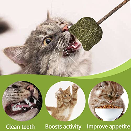 Bengal Cat Toy Set - Catnip, Silvervine, Feathers