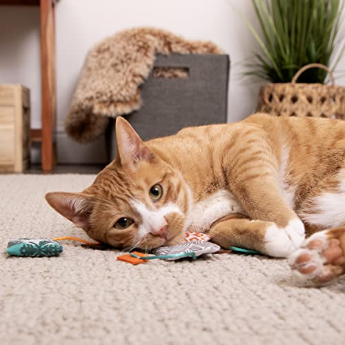 Bengal Cat Toys Combo - Catnip & Silvervine - Multicolor