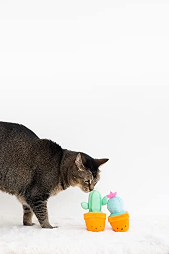 Cactus Cat Toy Set, Interactive and Cute