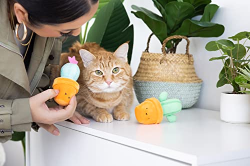 Cactus Cat Toy Set, Interactive and Cute