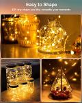 20 Pack Battery Operated Fairy String Lights