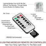 66 Ft 200 LED Multi-Color Battery Fairy Lights