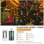 FairyGlim Twinkling Christmas Lights for Cheer