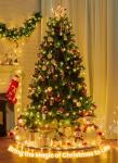 Minetom 66ft Fairy Lights with Remote - Warm White