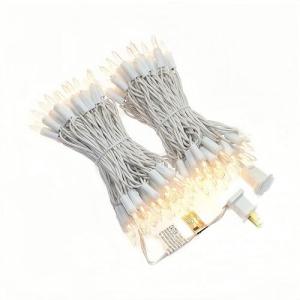 JinBest 100 LED Warm White Christmas Lights 35 FT