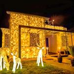 600 LED 168FT Christmas String Lights - Waterproof