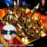 150 Count Warm White Mini Christmas String Lights