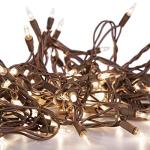 100 Clear Mini Christmas String Lights on Brown Wire