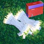 JinBest 100 LED Warm White Christmas Lights 35 FT