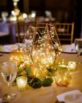 20 Ft Battery Operated LED Fairy Lights Bundle