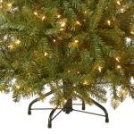 Pre-Lit Mini Dunhill Fir Christmas Tree, 4 Feet