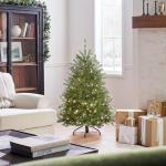 Pre-Lit Mini Dunhill Fir Christmas Tree, 4 Feet