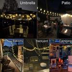 20 Vintage LED String Lights - 14ft Battery Operated