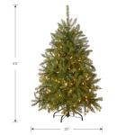 Pre-Lit Mini Dunhill Fir Christmas Tree, 4 Feet