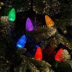 C9 LED Christmas Lights String - 2 Pack, 66 FT