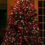 100 Count Waterproof Christmas String Lights – Multi-Colored