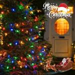 C9 LED Christmas Lights String - 2 Pack, 66 FT
