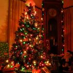 100 Count Waterproof Christmas String Lights – Multi-Colored