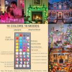 Color Changing 66FT Christmas String Lights with Remote