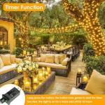 200 LED Fairy Lights with Remote - 66 Ft