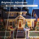 Color Changing 66FT Christmas String Lights with Remote