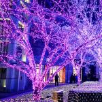500 LED Purple String Lights - Remote Control 8 Modes
