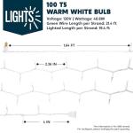 100 Count Mini Warm Fairy String Lights