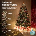 Color Changing LED Christmas Lights with Remote 66ft
