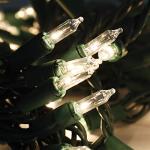 Joiedomi 100 Count Warm White Fairy String Lights