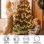 Hopolon 50 Count Clear Mini Christmas Lights Set