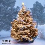 Philips 50 Warm White C9 Christmas Lights