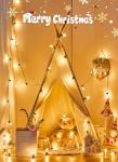 100 Feet Vintage C9 LED Outdoor Christmas Lights