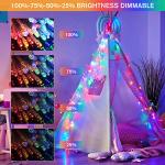 33ft Color Changing LED String Lights for Christmas